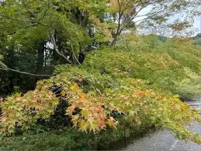 二尊院(京都府)