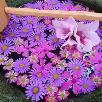 寿量山 速成寺の手水舎