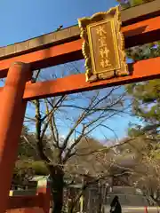 氷室神社の鳥居