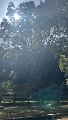 武雄神社(佐賀県)