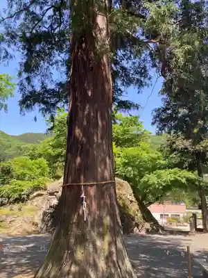 白瀧神社(群馬県)