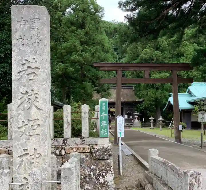 若狭姫神社(若狭彦神社下社)の鳥居