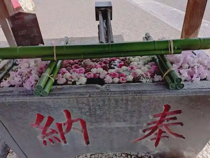 草加神社(埼玉県)