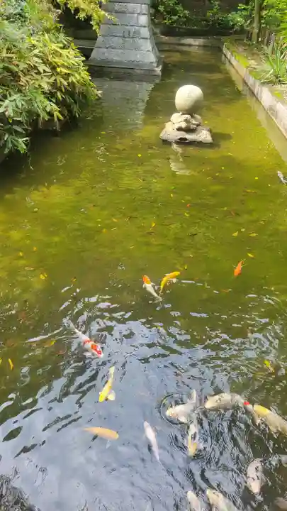 石鎚神社(愛媛県)