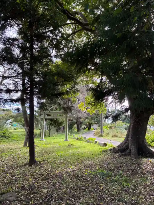 大杉神社(千葉県)