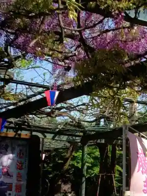 國領神社(東京都)