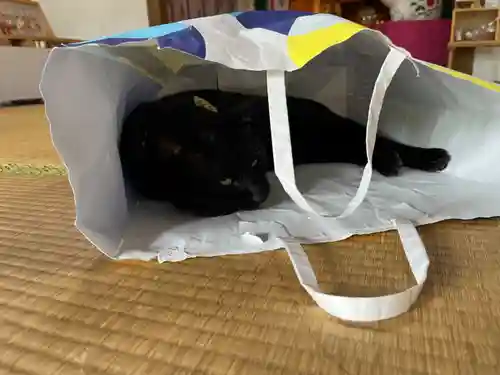 高司神社〜むすびの神の鎮まる社〜(福島県)