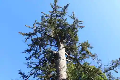 滑川神社 - 仕事と子どもの守り神の自然