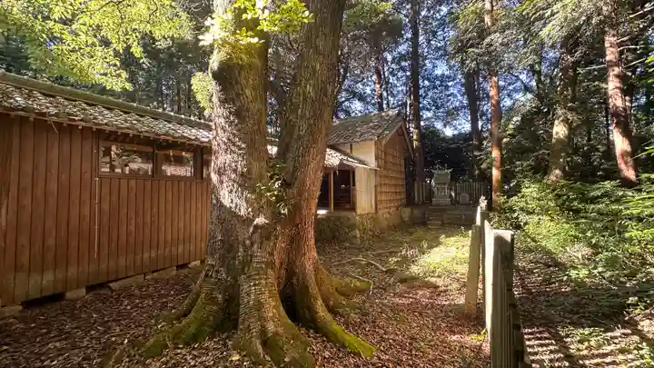 阿由多神社(三重県)