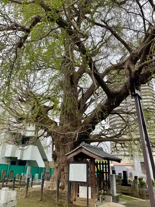 真福寺の{uncategorized: "未分類", other: "その他", undefined: "問題あり", building: "その他建物", grave: "お墓", sacred_gate: "鳥居", guardian: "狛犬", statue: "像", buddha: "仏像", history: "歴史", nature: "自然", garden: "庭園", animal: "動物", pagoda: "塔", temizu: "手水舎", mountain_gate: "山門・神門", sanctuary: "本殿・本堂", subordinate: "末社・摂社", art: "芸術", scenery: "景色", jizo: "地蔵", ema: "絵馬", goshuin: "御朱印", omikuji: "おみくじ", items: "授与品その他", amulet: "お守り", goshuincho: "御朱印帳", eats: "食事", festival: "お祭り", votive_dance: "神楽", shichigosan: "七五三参", wedding: "結婚式", experience: "体験その他", initially: "初詣", around: "周辺", anti_infection: "感染症対策"}