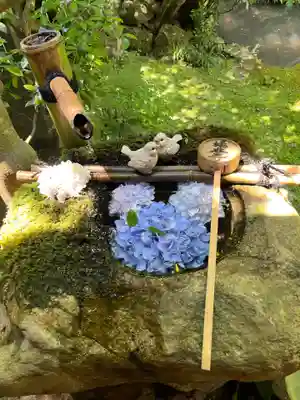 柳谷観音　楊谷寺(京都府)