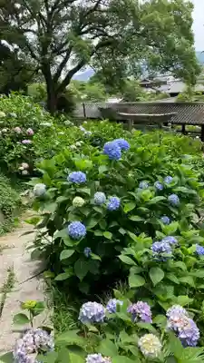 吉備津神社(岡山県)