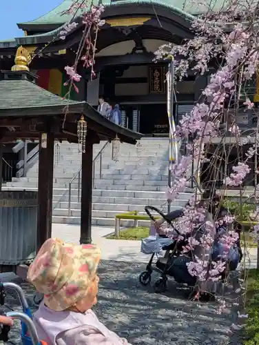 宝勝山　南藏院   蓮光寺(東京都)