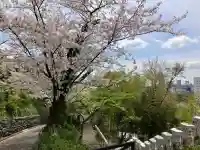 孝道山の{uncategorized: "未分類", other: "その他", undefined: "問題あり", building: "その他建物", grave: "お墓", sacred_gate: "鳥居", guardian: "狛犬", statue: "像", buddha: "仏像", history: "歴史", nature: "自然", garden: "庭園", animal: "動物", pagoda: "塔", temizu: "手水舎", mountain_gate: "山門・神門", sanctuary: "本殿・本堂", subordinate: "末社・摂社", art: "芸術", scenery: "景色", jizo: "地蔵", ema: "絵馬", goshuin: "御朱印", omikuji: "おみくじ", items: "授与品その他", amulet: "お守り", goshuincho: "御朱印帳", eats: "食事", festival: "お祭り", votive_dance: "神楽", shichigosan: "七五三参", wedding: "結婚式", experience: "体験その他", initially: "初詣", around: "周辺", anti_infection: "感染症対策"}