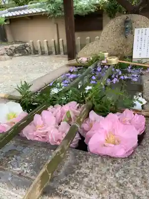 貴布禰神社の手水舎