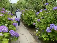 本光寺の庭園