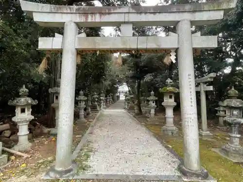 千王神社の鳥居