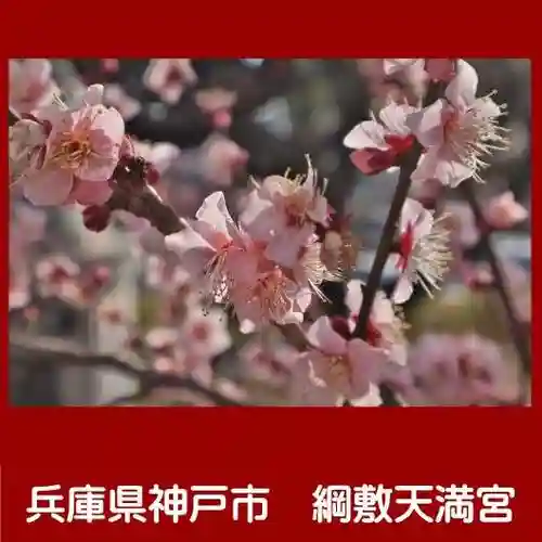 綱敷天満宮(兵庫県)