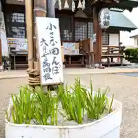 七重浜海津見神社(北海道)