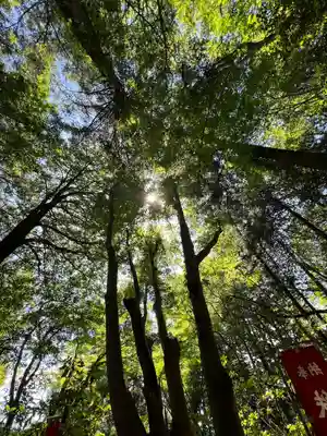 秩父御嶽神社(埼玉県)