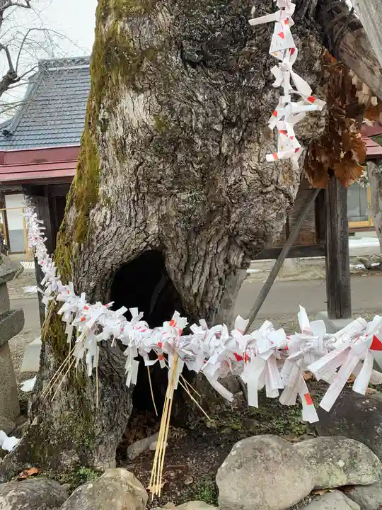 田出宇賀神社のその他建物