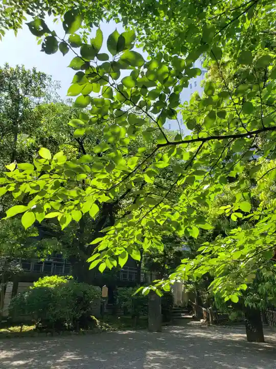 乃木神社(東京都)
