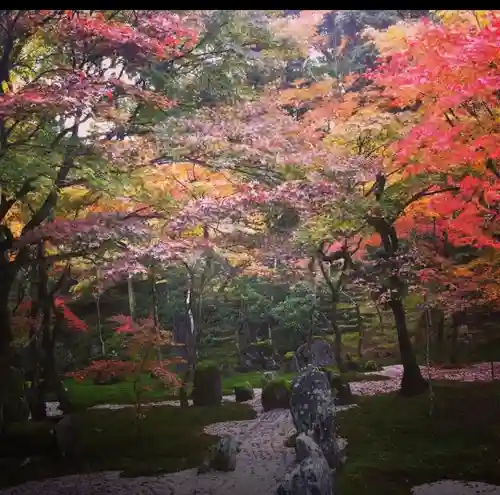 光明禅寺の庭園