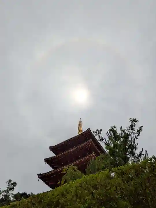 高幡不動尊 金剛寺(東京都)