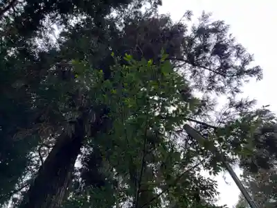 大宮温泉神社(栃木県)