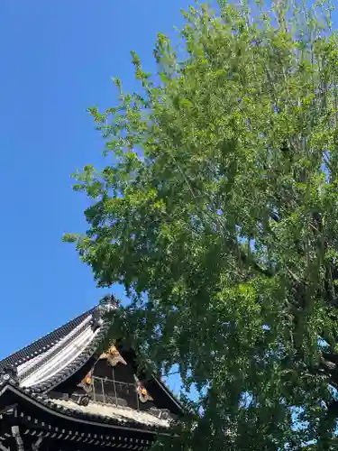 本願寺（西本願寺）のその他建物