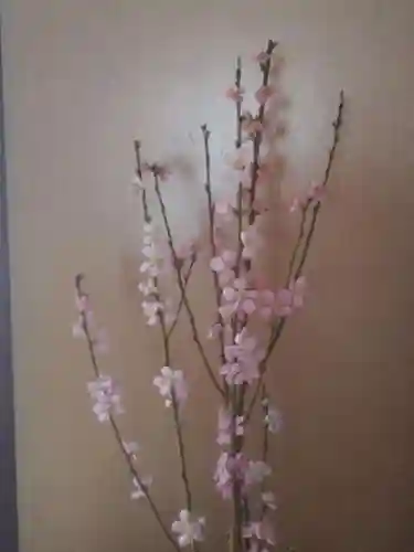 刺田比古神社(和歌山県)