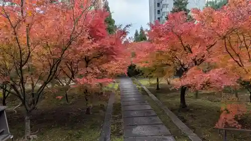 興聖寺(京都府)