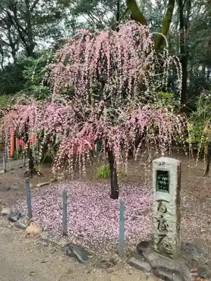 結城神社の庭園