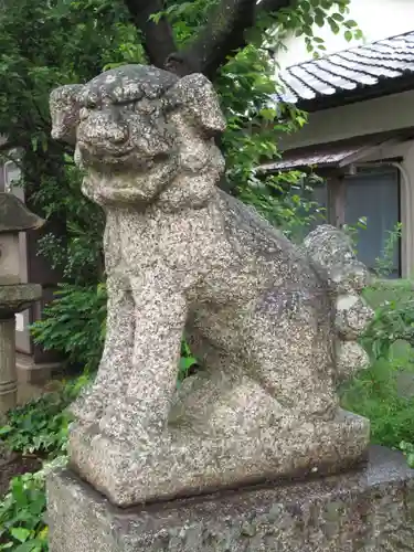 百舌鳥八幡宮の狛犬