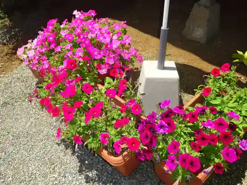 伊勢原 法泉寺の自然