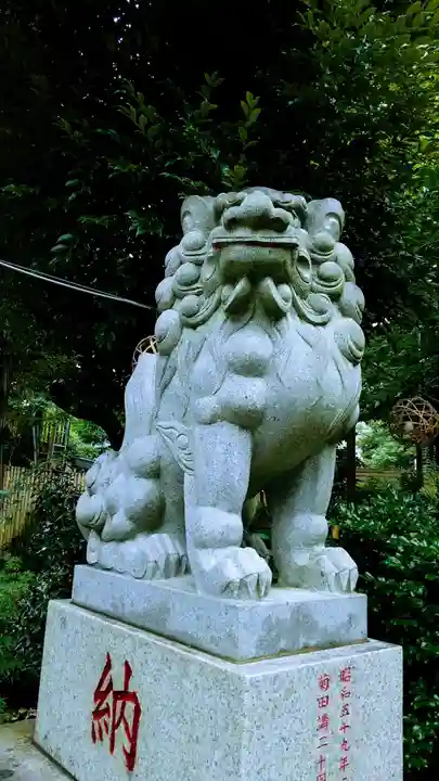 菊田神社の狛犬