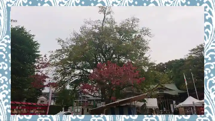 鎮守氷川神社(埼玉県)