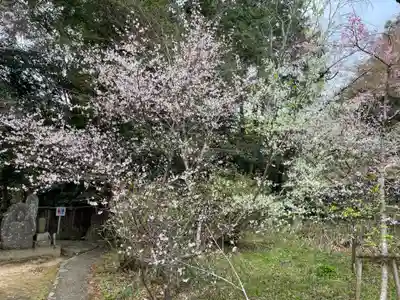 十輪寺(京都府)