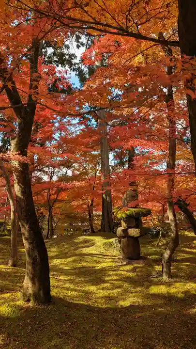 禅林寺(永観堂)(京都府)