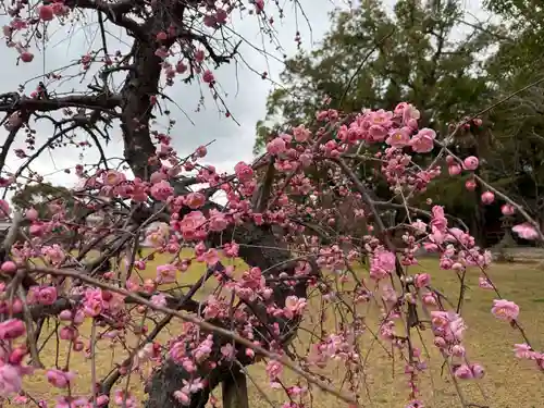 美奈宜神社(福岡県)