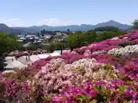 誠照寺(福井県)