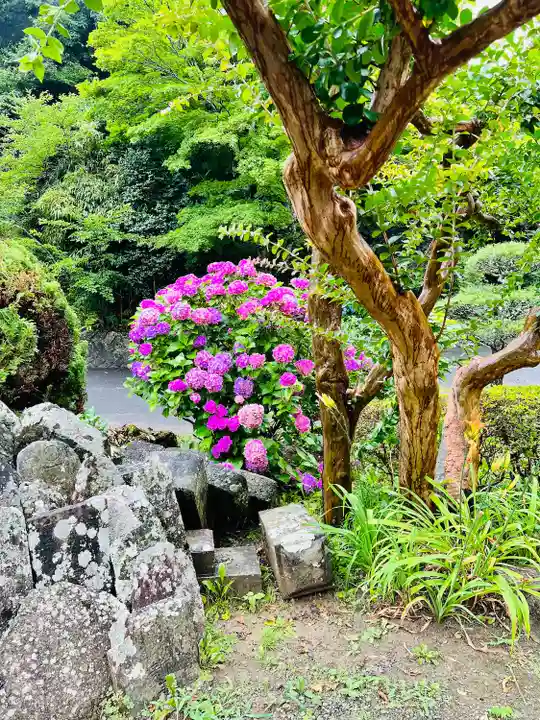 梅渓寺(宮城県)