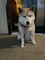 笠䅣稲荷神社(神奈川県)