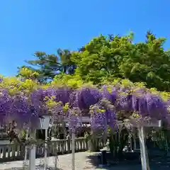 白鷺神社の庭園