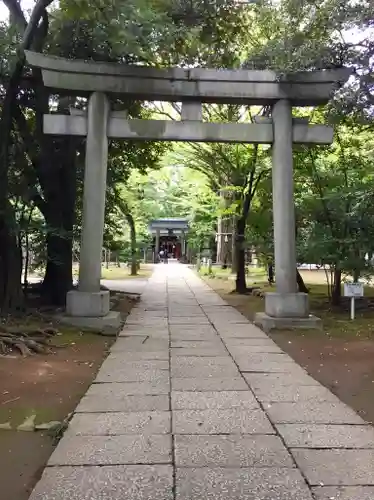 赤坂氷川神社の鳥居