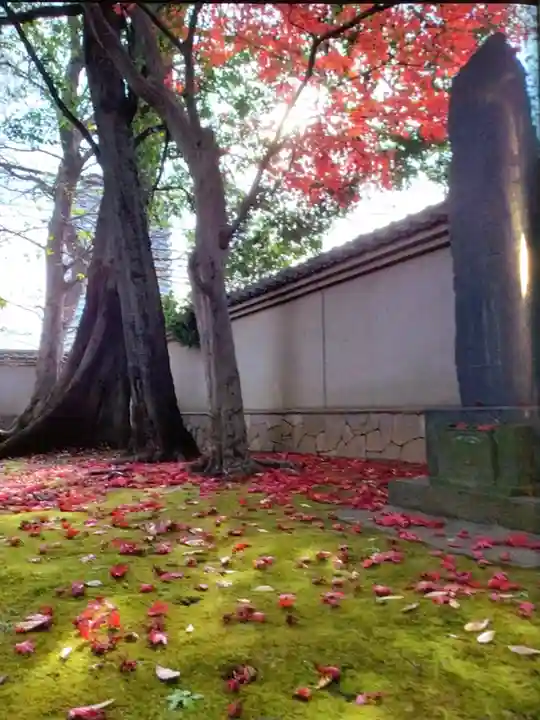愛染院(東京都)