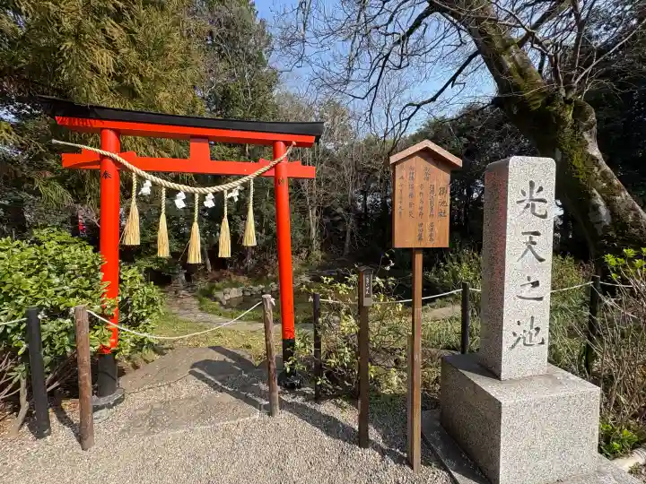 鷲宮神社の{uncategorized: "未分類", other: "その他", undefined: "問題あり", building: "その他建物", grave: "お墓", sacred_gate: "鳥居", guardian: "狛犬", statue: "像", buddha: "仏像", history: "歴史", nature: "自然", garden: "庭園", animal: "動物", pagoda: "塔", temizu: "手水舎", mountain_gate: "山門・神門", sanctuary: "本殿・本堂", subordinate: "末社・摂社", art: "芸術", scenery: "景色", jizo: "地蔵", ema: "絵馬", goshuin: "御朱印", omikuji: "おみくじ", items: "授与品その他", amulet: "お守り", goshuincho: "御朱印帳", eats: "食事", festival: "お祭り", votive_dance: "神楽", shichigosan: "七五三参", wedding: "結婚式", experience: "体験その他", initially: "初詣", around: "周辺", anti_infection: "感染症対策"}