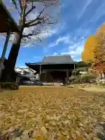 長慶寺(福井県)