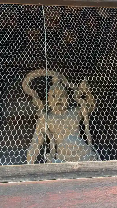 道隆寺(香川県)