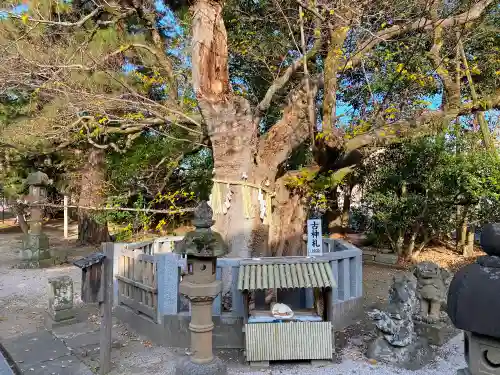 賣布神社の末社